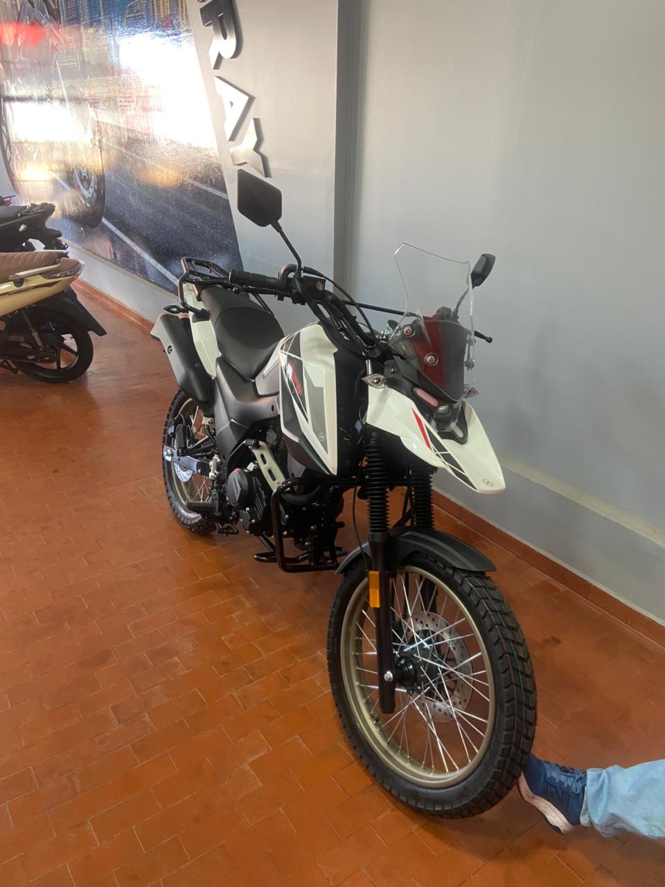 SHI 175